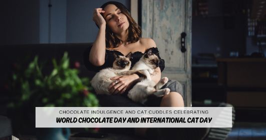 Chocolate Indulgence and Cat