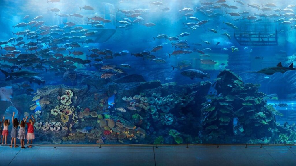 Dubai Aquarium
