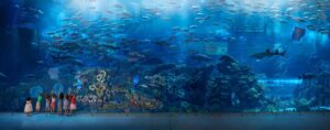 Dubai Aquarium